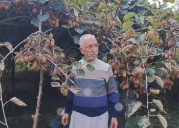 सेब की जगह कश्मीर के खेती के नक्शे पर कीवी को लाए बशीर अहमद!