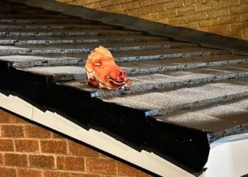 ब्रिटेन: मैनचेस्टर में मस्जिद की छत पर रखा सुअर का सिर!