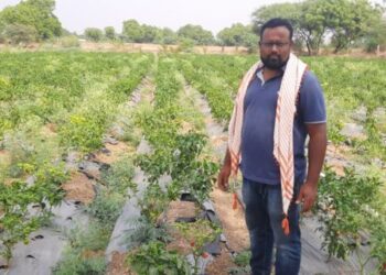 इस सॉफ्टवेयर इंजीनियर ने सफलतापूर्वक खेती-बाड़ी करके दिखाई है।