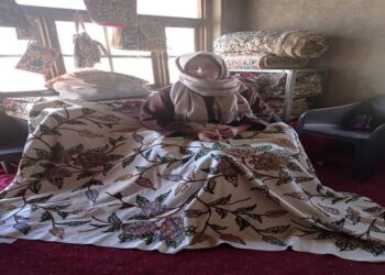 कुपवाड़ा की रजिया का सपना हुआ साकार, मिल रही प्रतिभा को पहचान