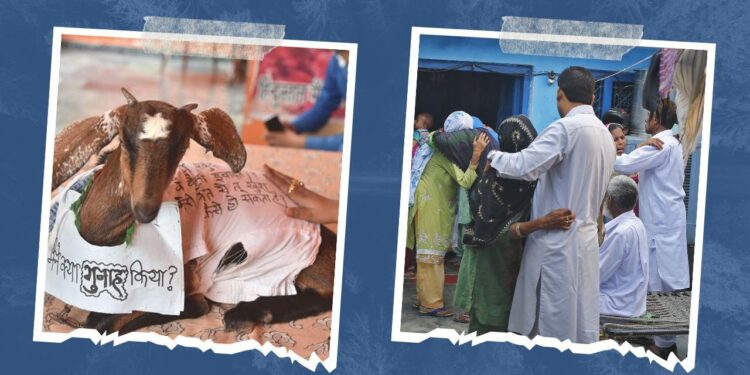 तस्वीर: अंसार इमरान