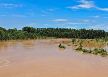 खेतों में खड़ी फसल बाढ़ में डूबकर बर्बाद, सदमे में किसान की मौत!