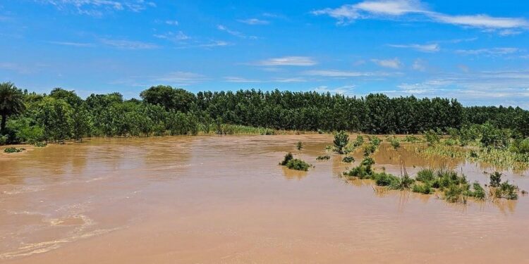 खेतों में खड़ी फसल बाढ़ में डूबकर बर्बाद, सदमे में किसान की मौत!