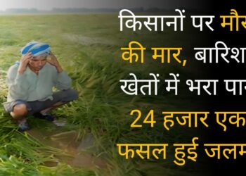 हरियाणा में किसानों पर मौसम की मार, बारिश से खेतों में भरा पानी, 24 हजार एकड़ फसल हुई जलमग्न।